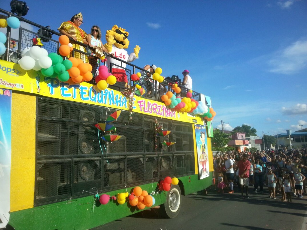 carnavalzinho2